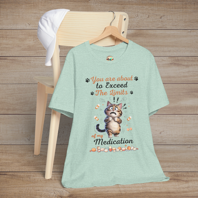 Funny heather prism mint green t-shirt with a cat graphic and text on a wooden chair.