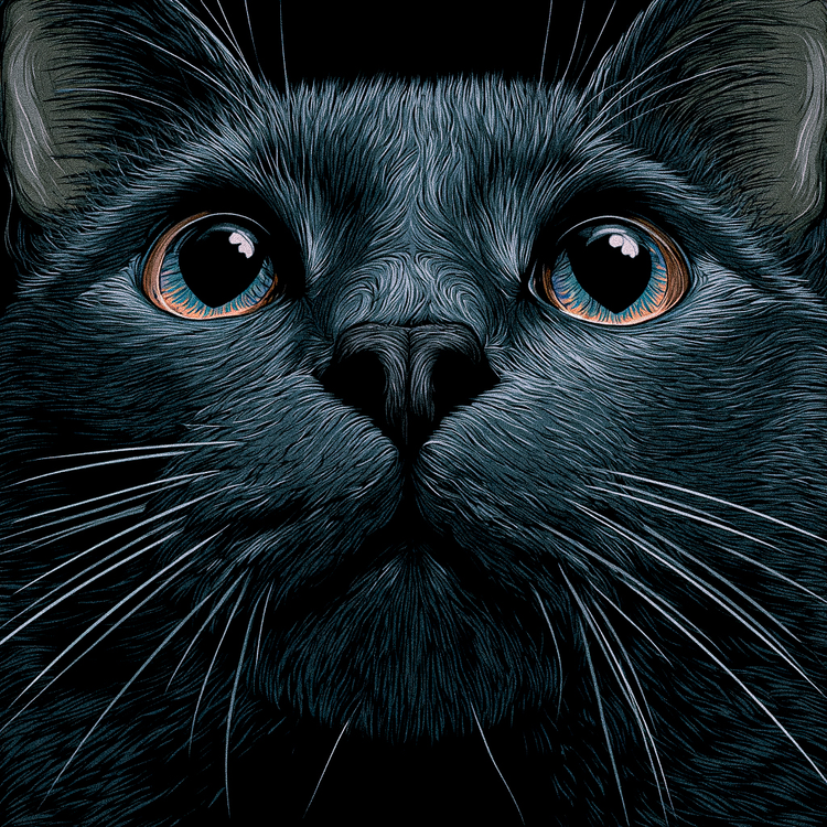 House Panther Haven – Black Cat Apparel & Gifts