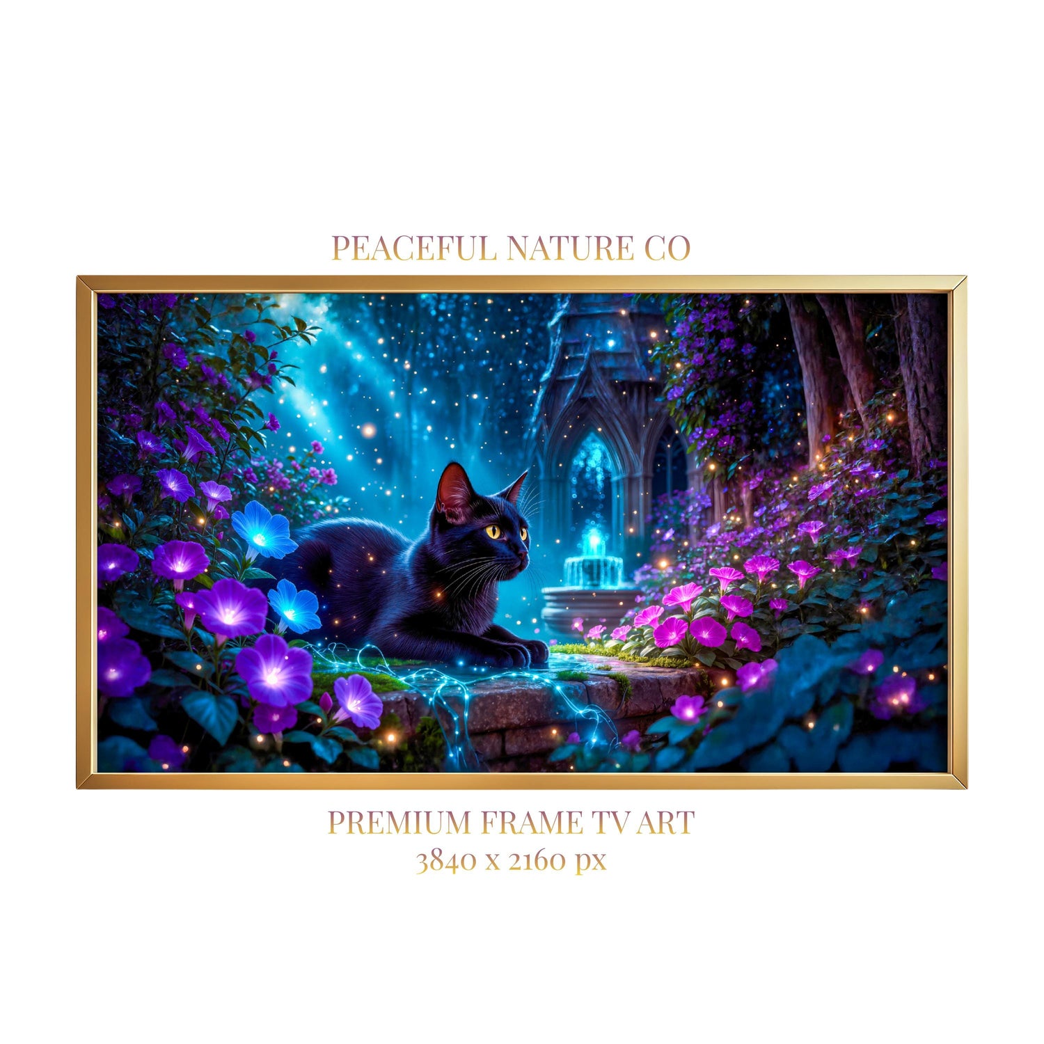 Black Cat Enchanted Garden Art | Moonlit Fantasy TV Decor (Digital Download)