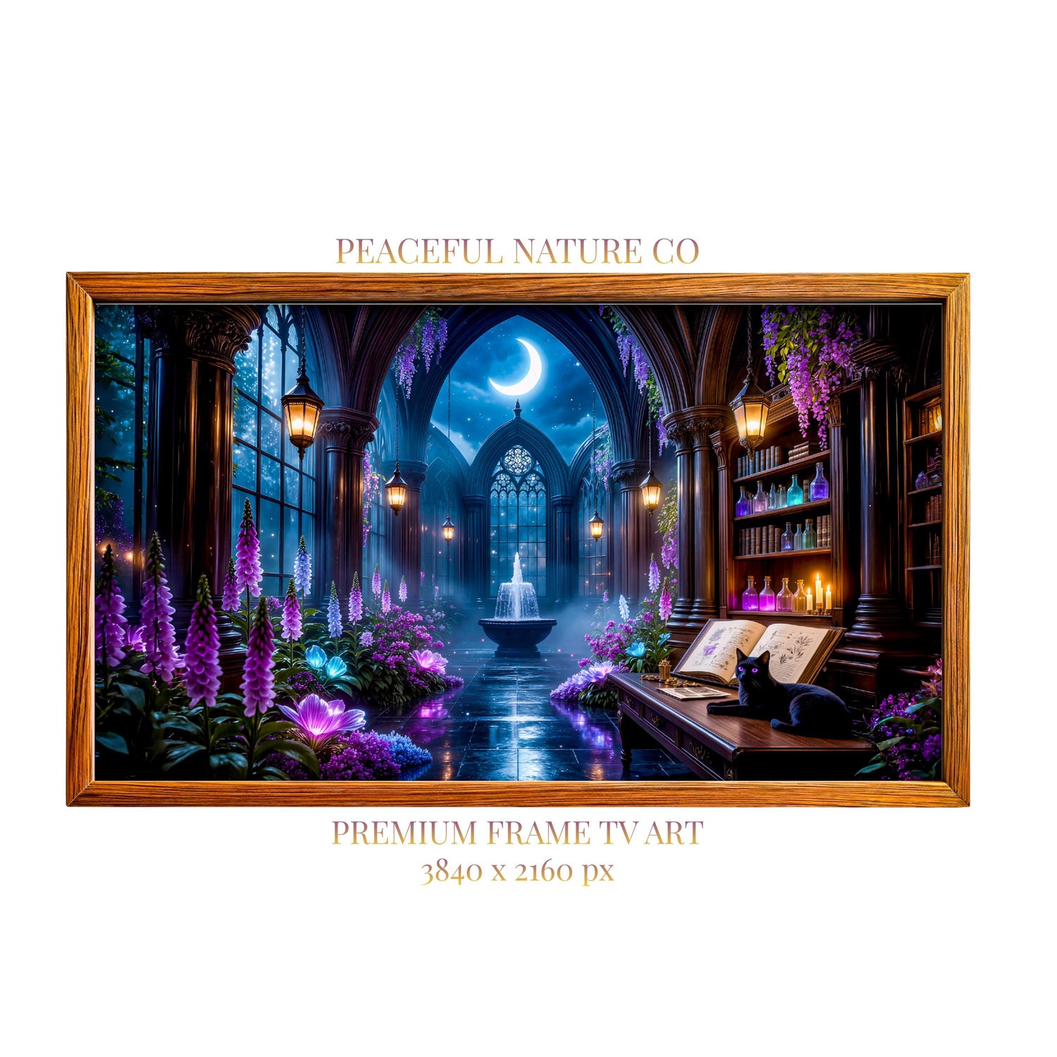 Black Cat Conservatory Art | Moonlit Gothic Library Frame TV (Digital Download)