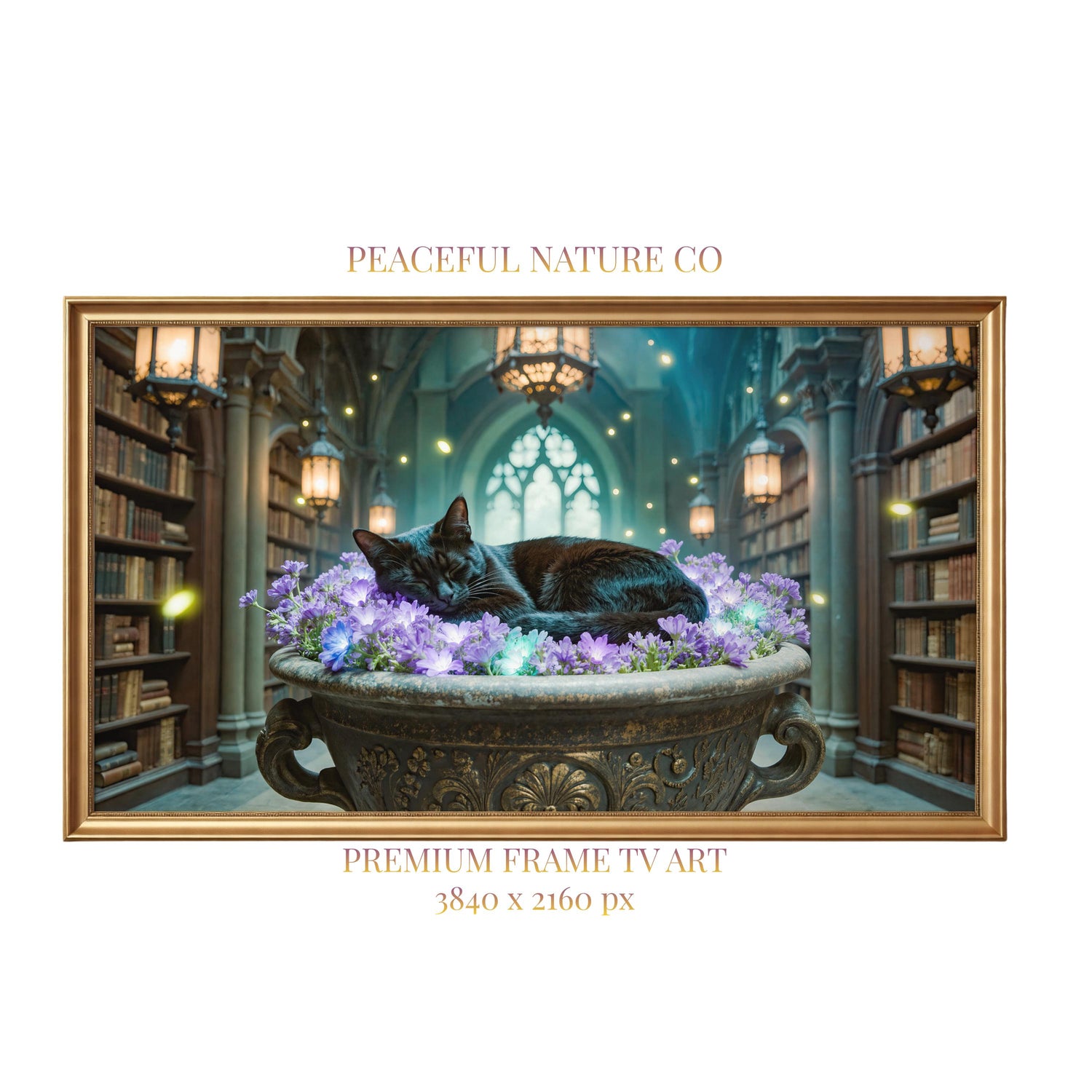 Sleeping Black Cat Library Art | Dark Academia Gothic Decor (4K Digital Download)