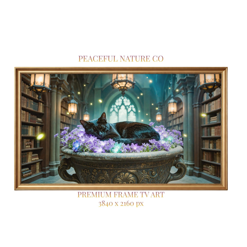 Sleeping Black Cat Library Art | Dark Academia Gothic Decor (4K Digital Download)