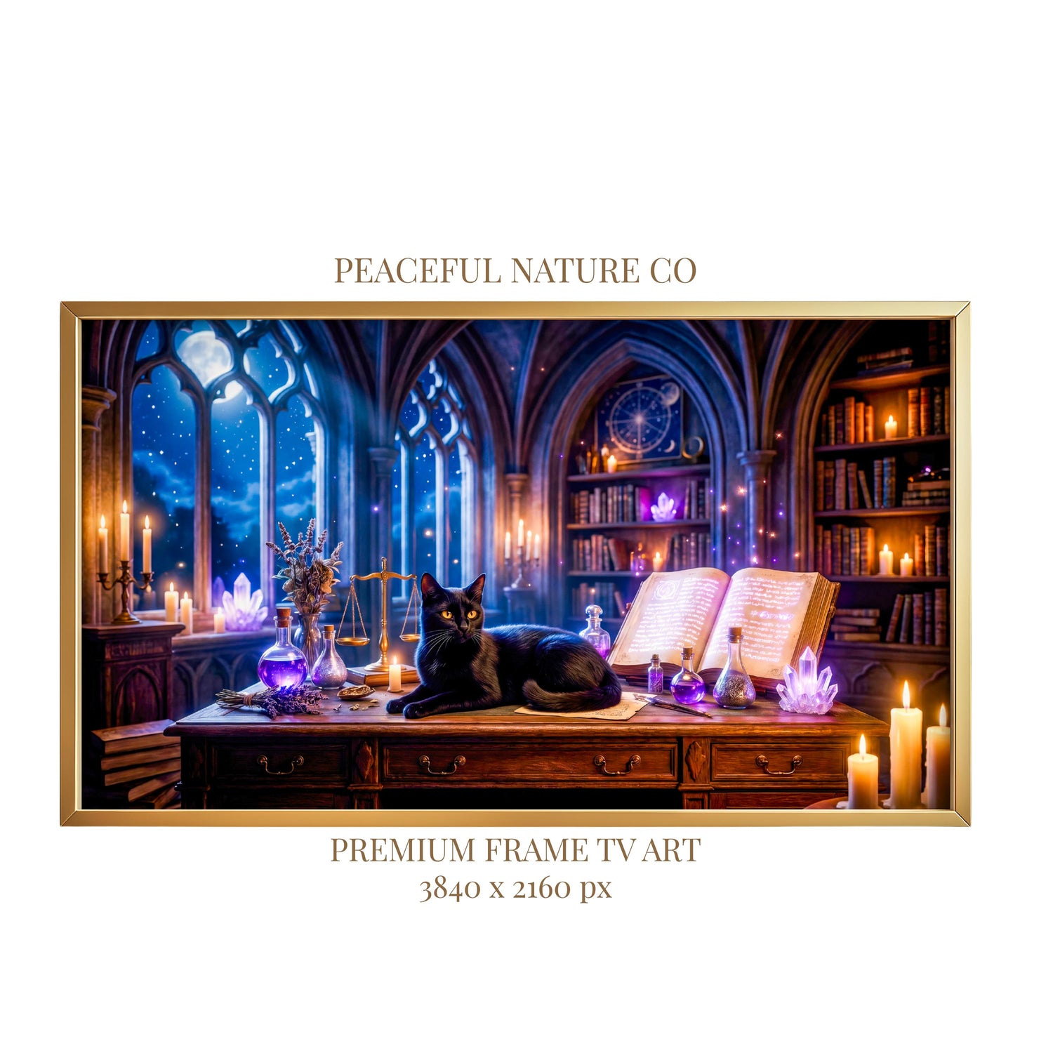 Black Cat Witch Library Frame TV Art | Gothic Fantasy Digital Download (16:9 Aspect Ratio)