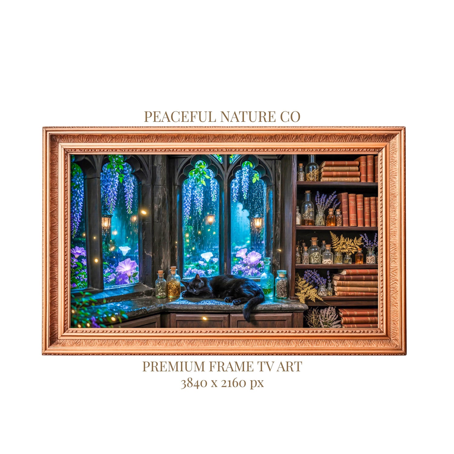 Sleeping Black Cat Frame TV Art | Gothic Cottagecore Digital Download