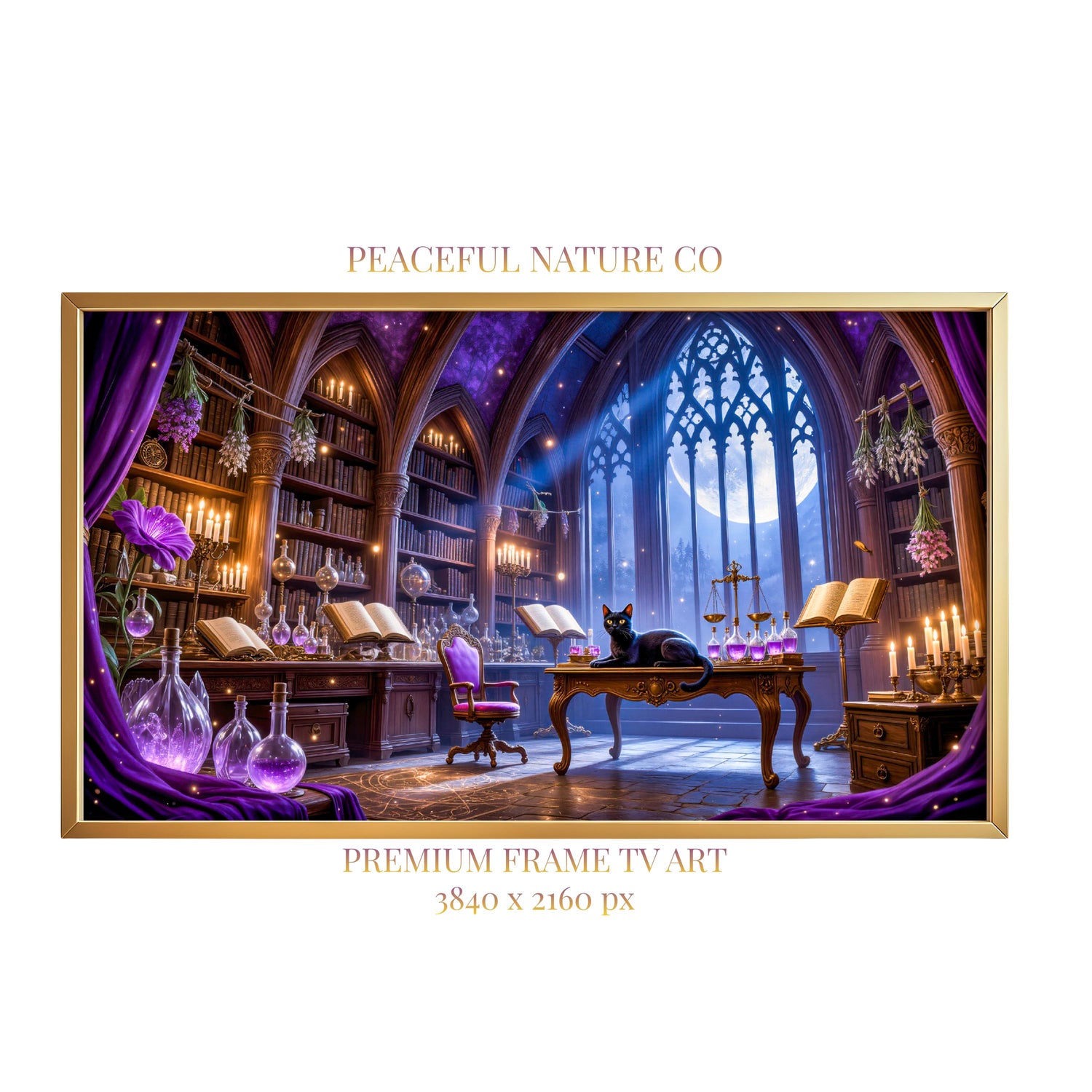 Black Cat Witch Study Art | Gothic Library Fantasy TV Artwork (4K Digital Download)