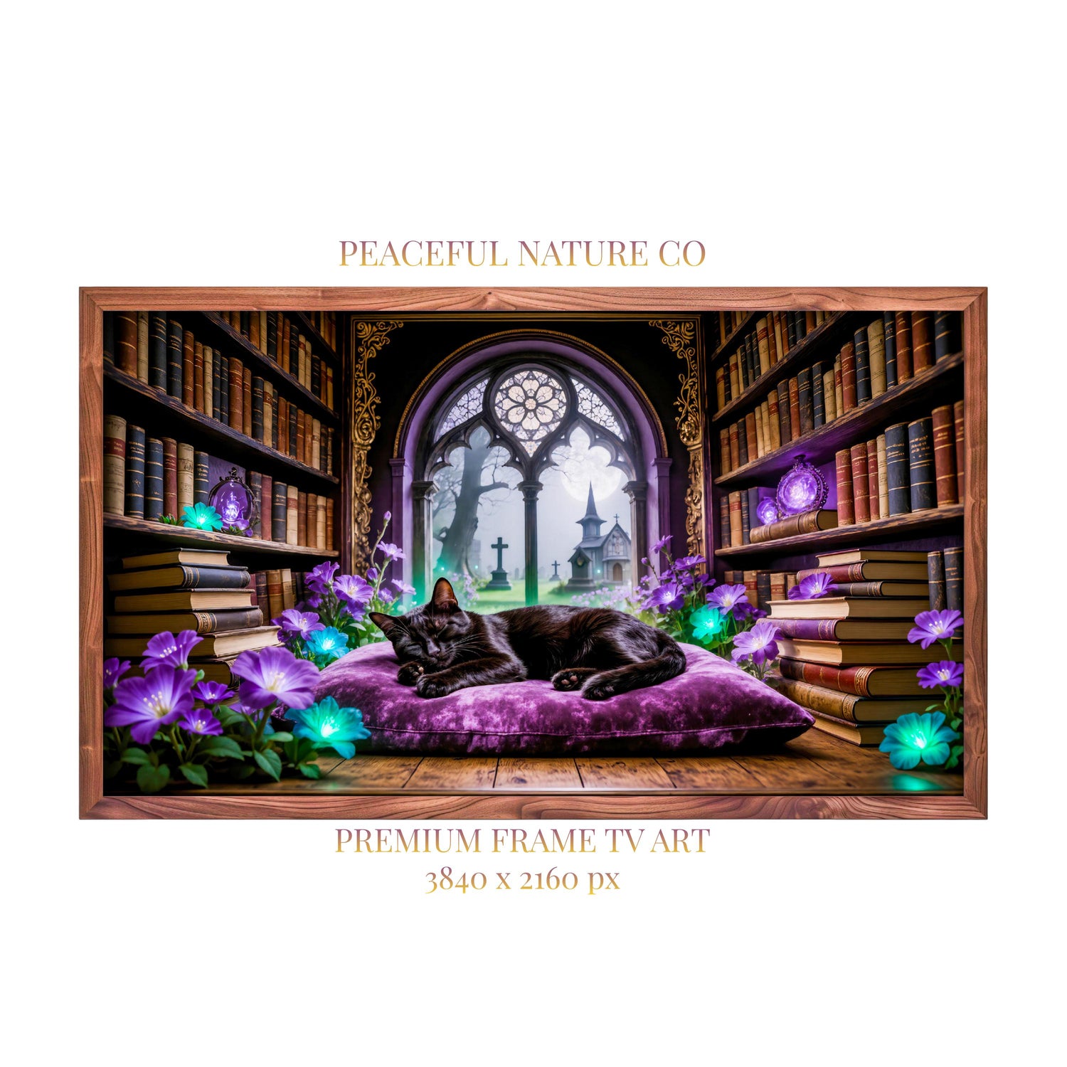 Sleeping Black Cat Library Art | Gothic Dark Academia Frame TV (Digital Download)