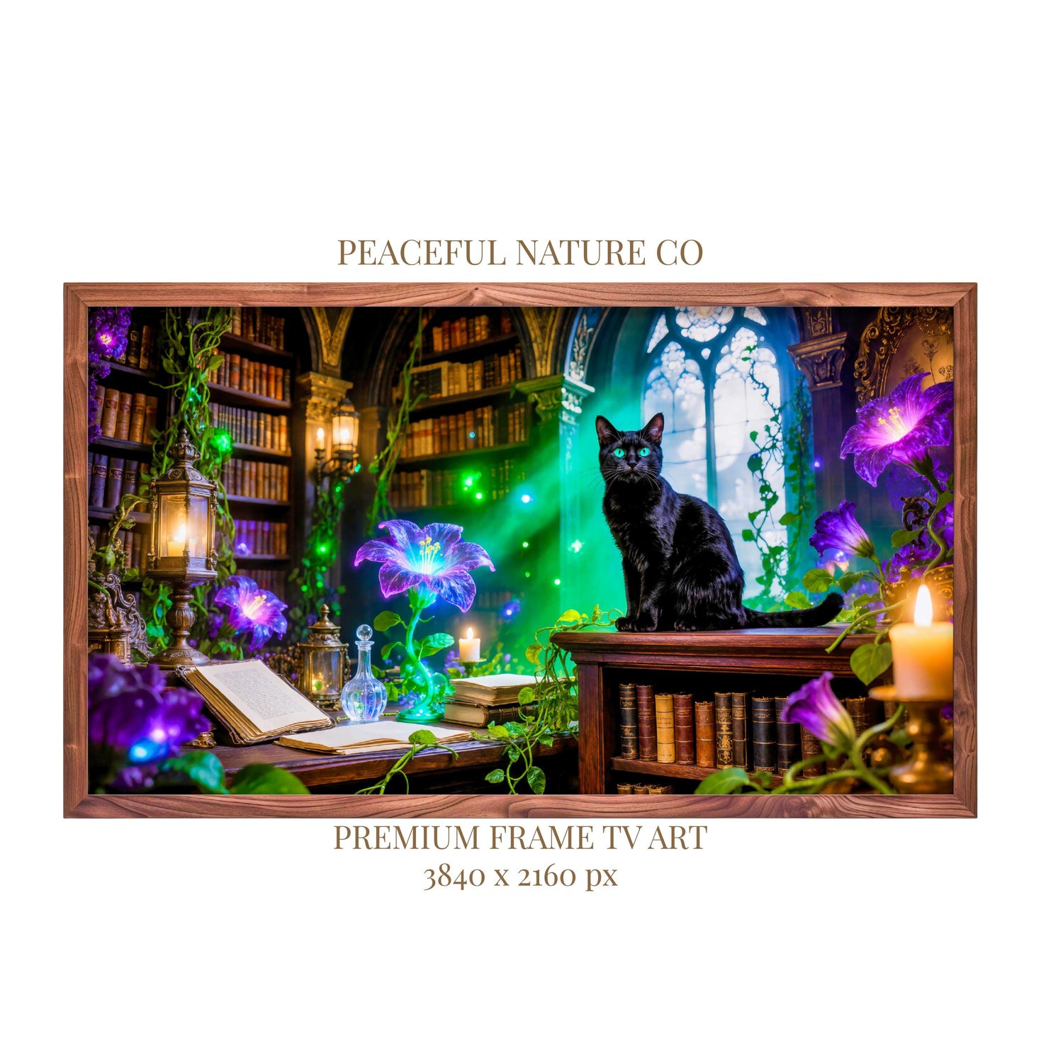 Black Cat Witch Library Art | Gothic Dark Academia Decor (Digital Download)