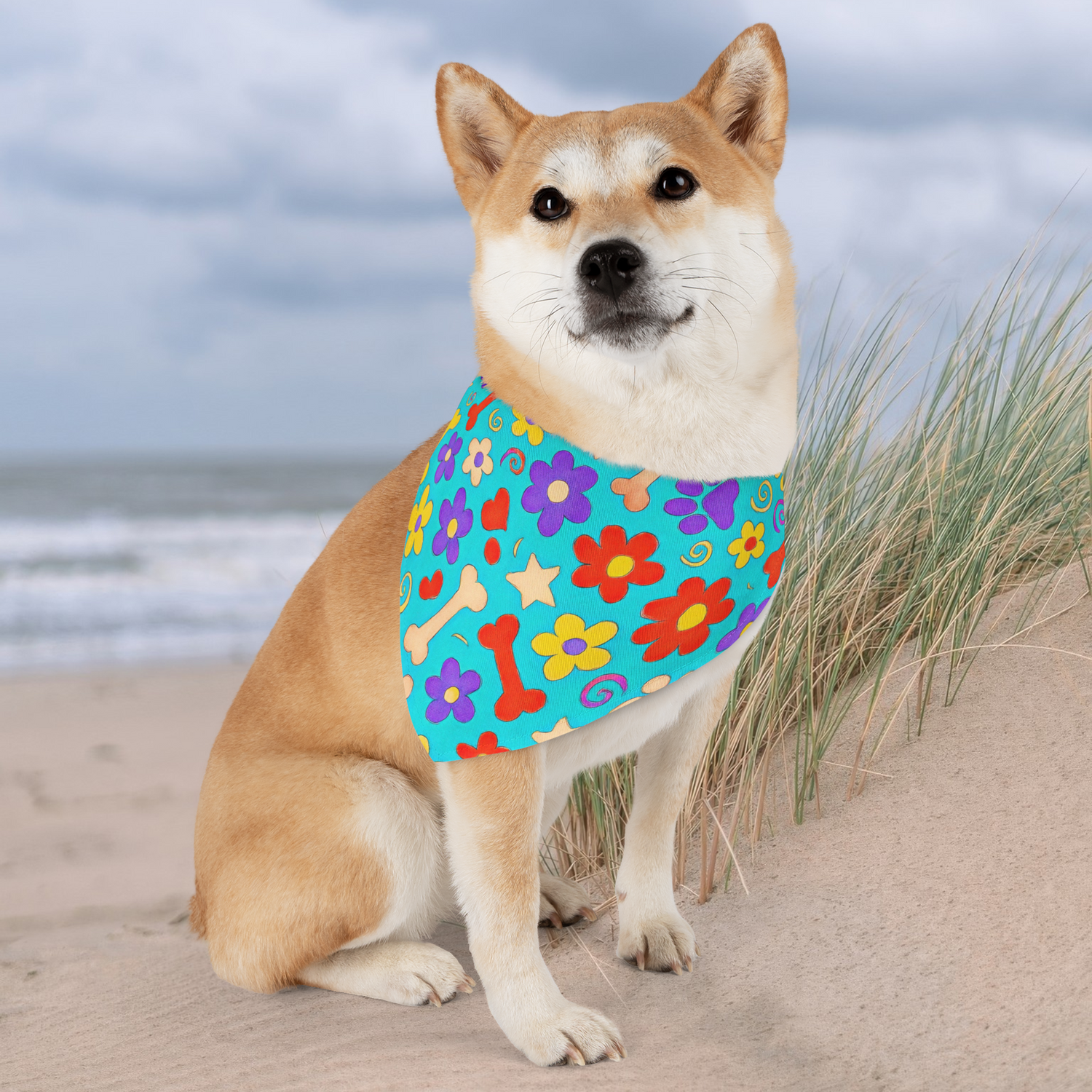 Shiba Inu dog on beach wearing colorful floral bandana with secure collar