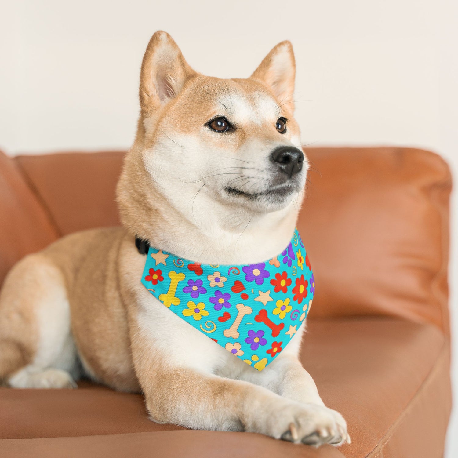 Medium dog on couch wearing cheerful flower-and-bone bandana