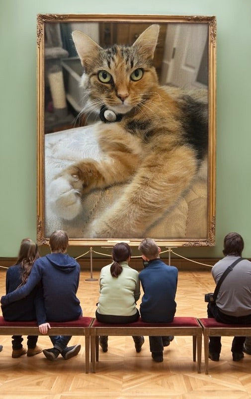 Photo of Lily the cat in an imaginary art gallery.