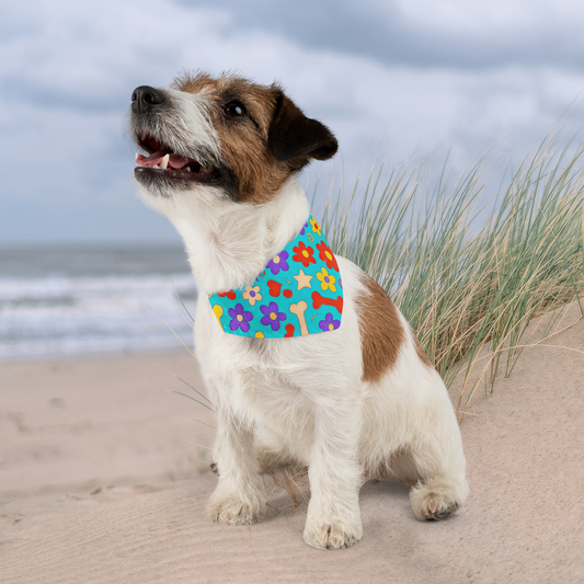 Small terrier dog on beach in fun floral dog bandana with adjustable buckle